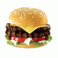 American Beef Burger (Halal)  (48x113g)